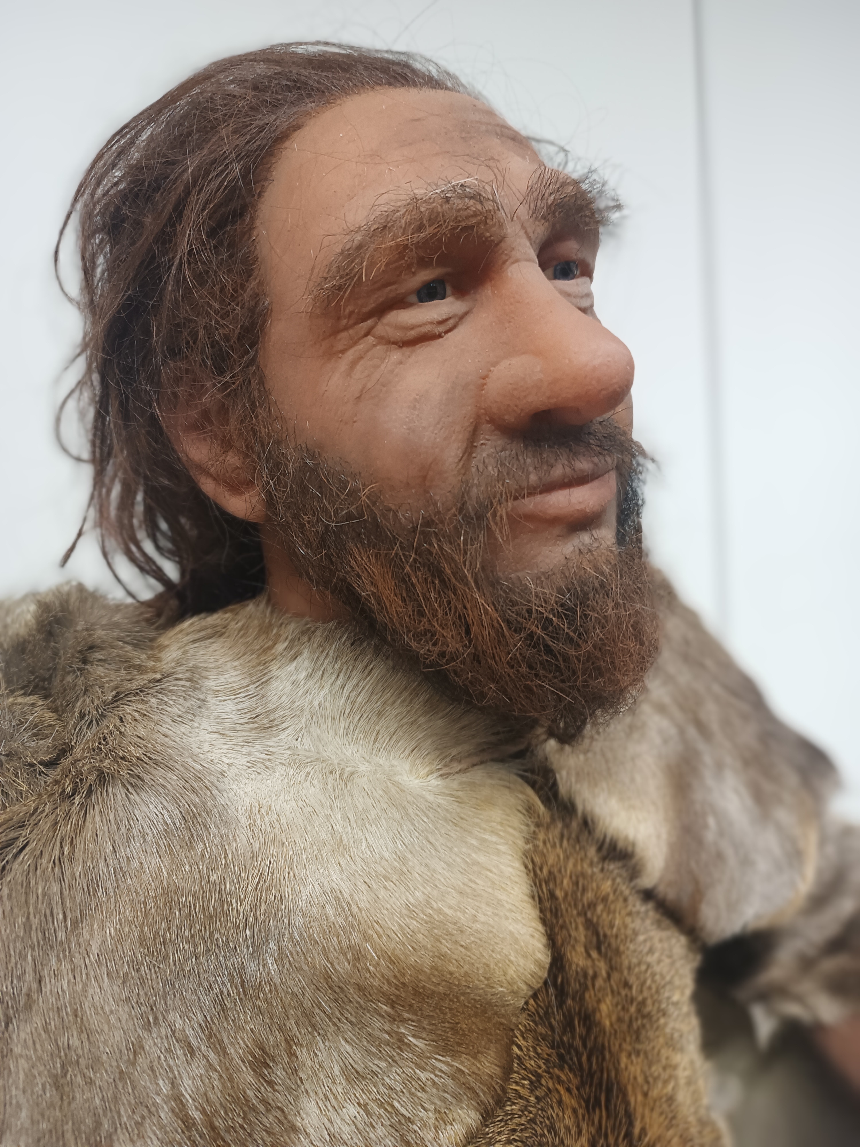 Neandertalczyk z profilu